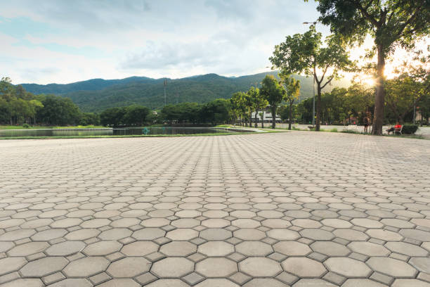 Best Local Driveway Pavers  in Rocky Point, WA